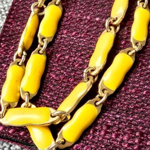 J. Crew Enamel Link Necklace (Extra Long)